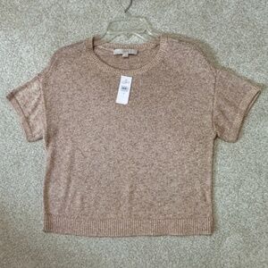 Ann Taylor LOFT Peach+Metallic Gold Short Sleeve Dressy Sweater Med NEW w/ TAGS